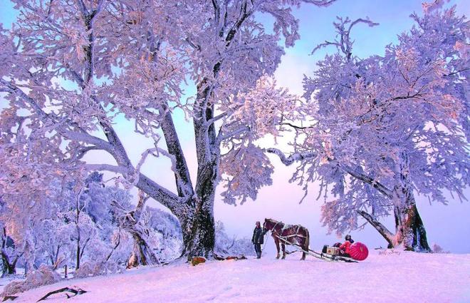 吉林：深耕“长白天下雪”品牌冷资源释放“热效应”