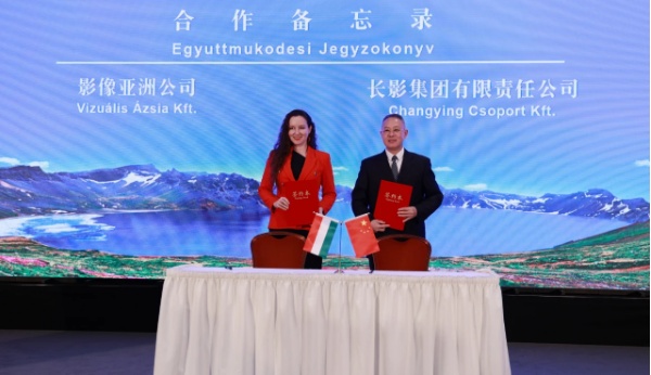 高质量发展新答卷｜新民大街开街启新篇(图4)